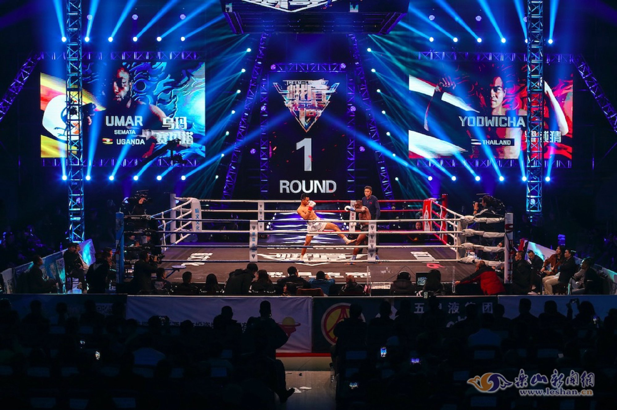 "太极实战第一人"韩飞龙,三个级别伦批尼王者阿坡,拳台小霸王赵小宇